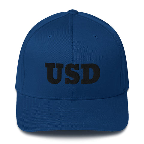 GOLD/US DOLLAR HAT Structured Twill Cap